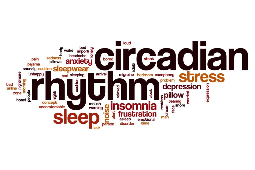 How Circadian Rhythm and Sleep Impact Everything