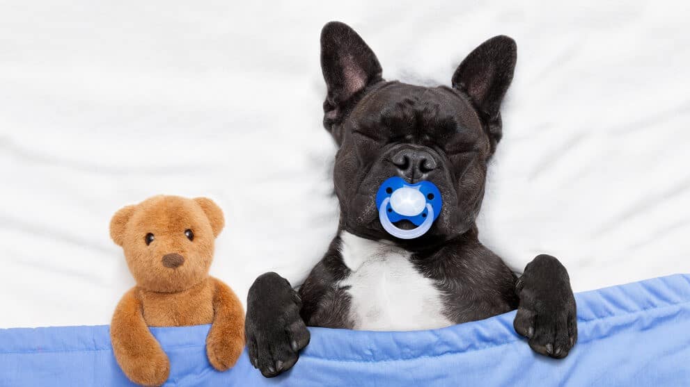 Why Is a Balanced Circadian Rhythm Important Anyhow?