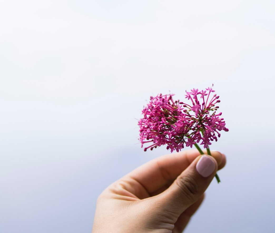 3 Homeopathic Sleep Remedies for Exhausted Moms