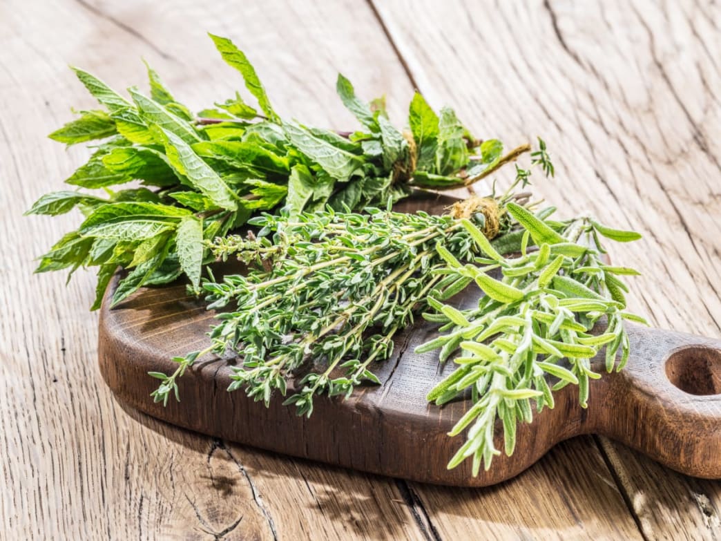 Grow Your Own Immune-Boosting Herb Garden