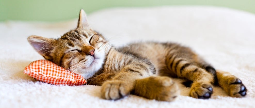 What is Restorative Sleep?